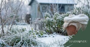 garten im winter